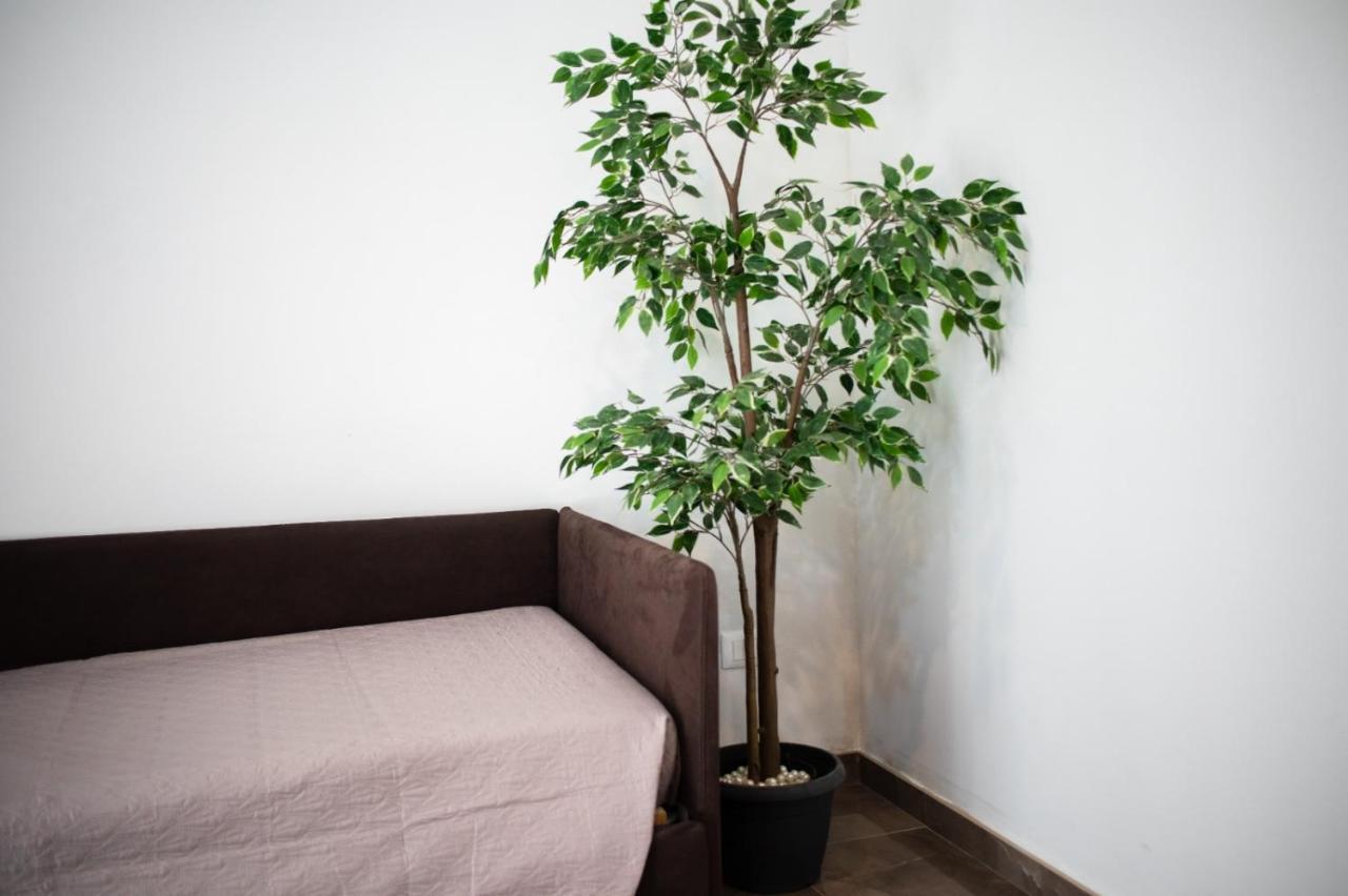Suebi Rooms Termoli Exterior photo