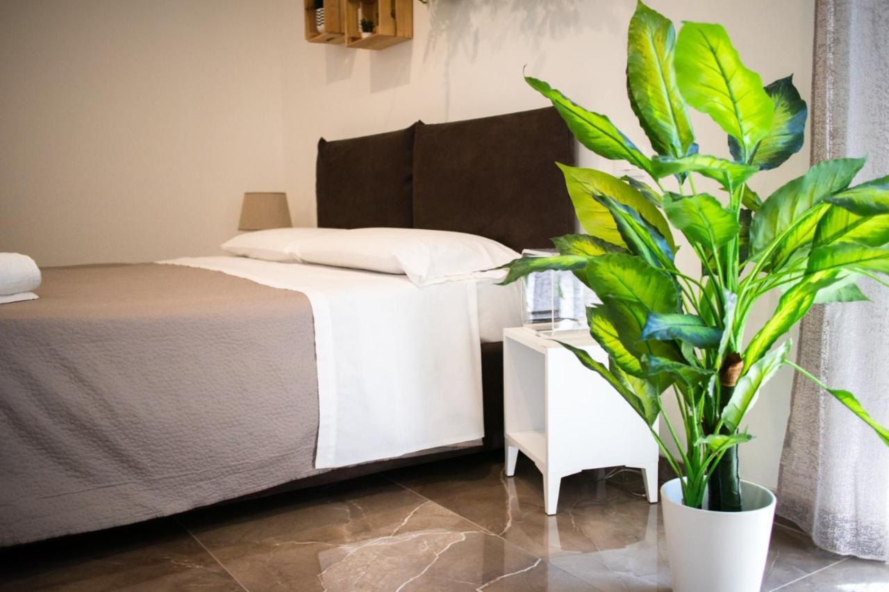 Suebi Rooms Termoli Exterior photo